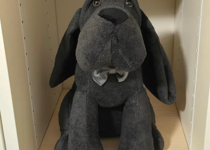 Le Miroir De Saint-jacques * Sallanches